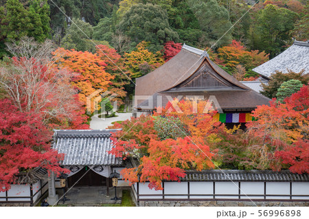 京都　秋　紅葉　南禅寺 56996898