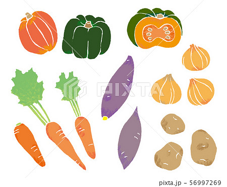 秋の野菜のイラスト素材