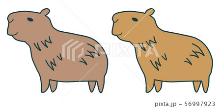 Capybara sideways set - Stock Illustration [56997923] - PIXTA