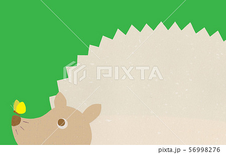 はりねずみ 56998276