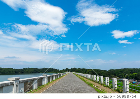 (埼玉県-風景)狭山自然公園の遊歩道風景４ 56998754