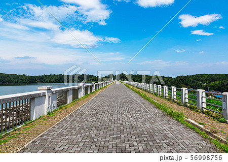 (埼玉県-風景)狭山自然公園の遊歩道風景3 (埼玉県-風景)狭山自然公園の遊歩道風景3 56998756