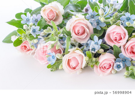 淡いピンクのバラと水色のブルースター ボタニカル背景の写真素材