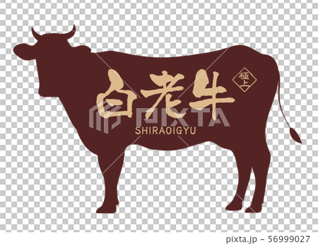 白老牛ラベル 白老牛ラベル 56999027