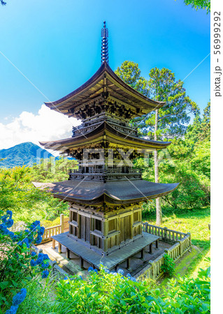 国宝大法寺三重塔　青木村　【長野県】 56999292