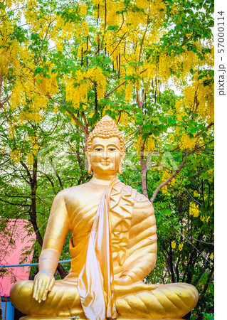 Buddha with yellow flowers 57000114
