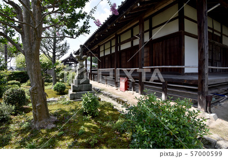 盛安寺　本堂前の植栽 57000599