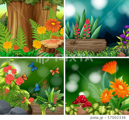 Set of background scene with nature theme Set of background scene with nature theme 57002336