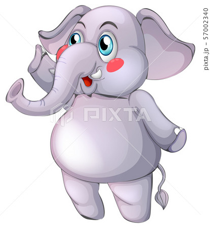 Gray elephant on white background Gray elephant on white background 57002340