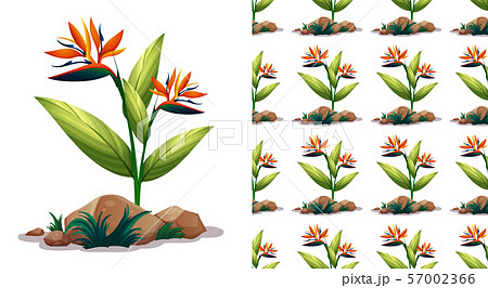 Seamless background design with bird of paradise Seamless background design with bird of paradise 57002366