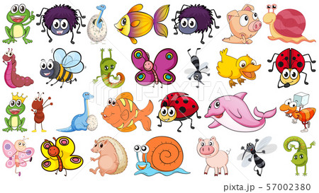 Set of different animals Set of different animals 57002380