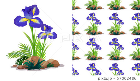 Seamless background design with iris flowers on 57002486