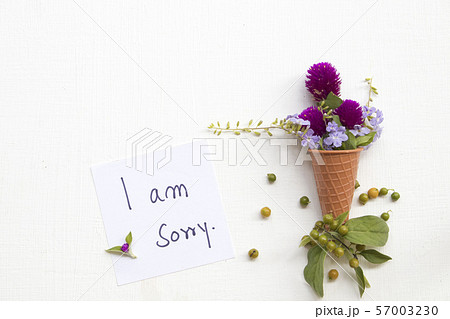 i am sorry message card handwriting with flowers  57003230