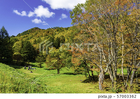 長野県 湯つづき紅葉街道 山田牧場周辺の紅葉の写真素材