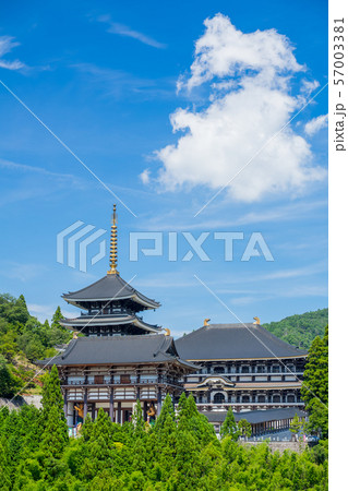 但馬大仏 57003381