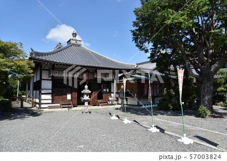 東福寺　同聚院 57003824