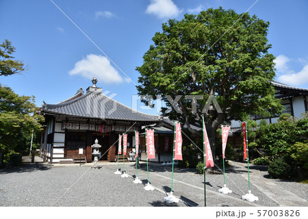 東福寺 同聚院 東福寺 同聚院 57003826