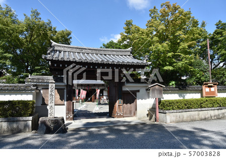 東福寺　同聚院 57003828