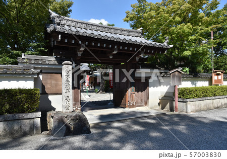 東福寺　同聚院 57003830