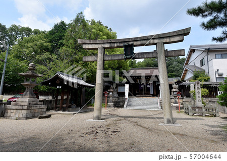 離宮八幡宮 鳥居 離宮八幡宮 鳥居 57004644