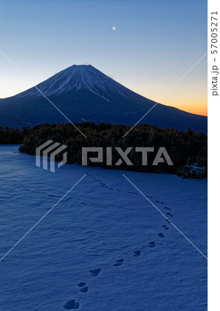本栖湖畔・竜ヶ岳山頂から夜明けの富士山を望む 本栖湖畔・竜ヶ岳山頂から夜明けの富士山を望む 57005271