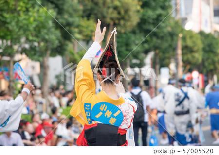 東京都　高円寺阿波おどり 57005520
