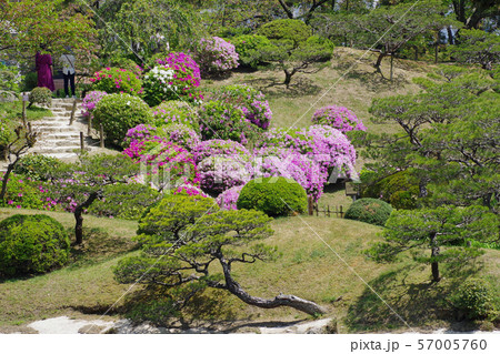 広島縮景園の植木 広島縮景園の植木 57005760
