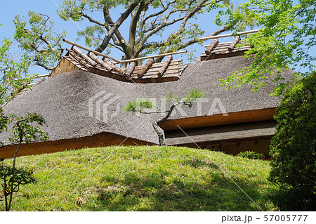 広島縮景園の茅葺屋根 広島縮景園の茅葺屋根 57005777