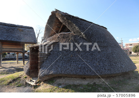 登呂遺跡の竪穴式住居 登呂遺跡の竪穴式住居 57005896
