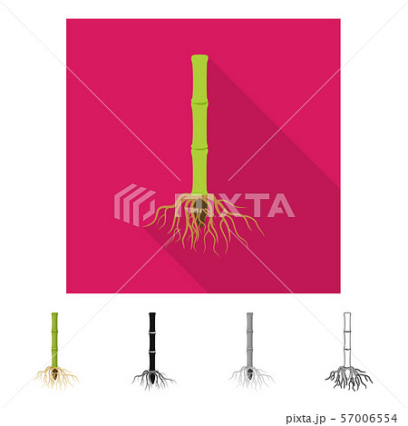 Vector illustration of root and system symbol. Collection of root and sprout vector icon for stock. 57006554