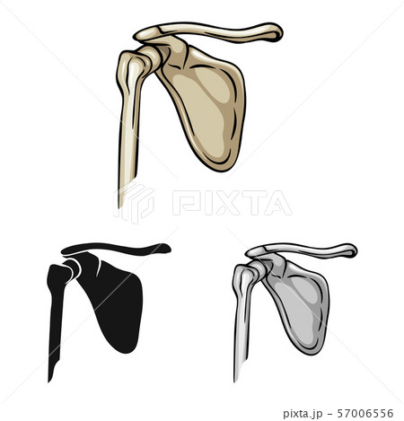Vector design of medicine and clinic sign. Collection of medicine and medical stock vector Vector design of medicine and clinic sign. Collection of medicine and medical stock vector 57006556