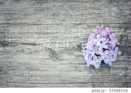 Lilac flowers on wooden background.Beautiful 57006558
