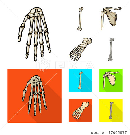 Isolated object of medicine and clinic icon. Collection of medicine and medical vector icon for 57006837