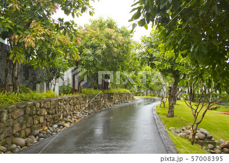 リゾート 公園 ガーデン 57008395