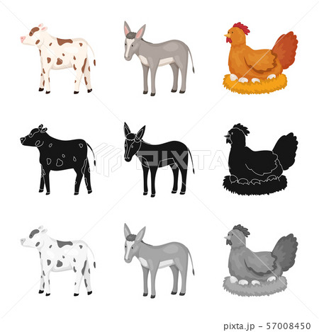 Isolated object of breeding and kitchen icon. Set of breeding and organic stock symbol for web. 57008450