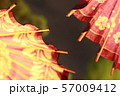 にわのあかり 57009412