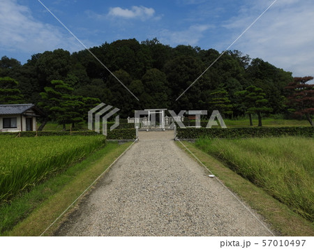 孝謙天皇陵 高野陵 佐紀高塚古墳 孝謙天皇陵 高野陵 佐紀高塚古墳 57010497