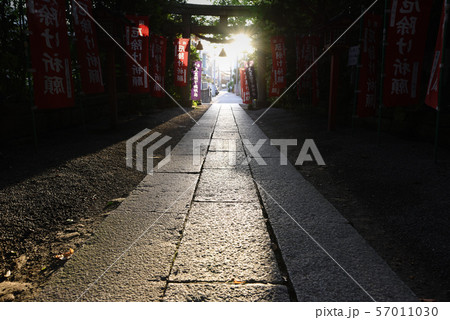 鎌倉　八雲神社　参道 57011030