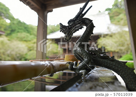 鎌倉　妙本寺　手水舎 57011039