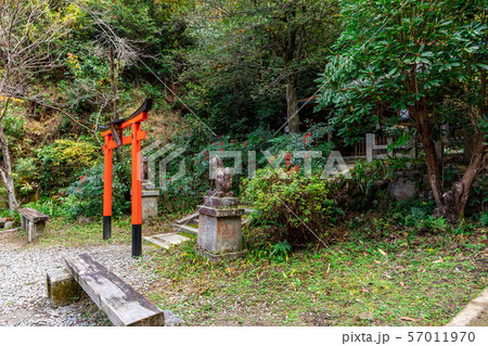 神田稲荷神社 日向大神宮境内 神田稲荷神社 日向大神宮境内 57011970