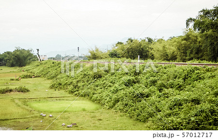 View of Kolkata to Jaldapara Train running in Jaldapara near Doors area traveling on railway through green grassy meadows with rugged Pilatus in background on a cloudy summer day. View of Kolkata to Jaldapara Train running in Jaldapara near Doors area traveling on railway through green grassy meadows with rugged Pilatus in background on a cloudy summer day. 57012717