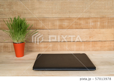 Closed laptop and green houseplant on the table. Closed laptop and green houseplant on the table. 57013978