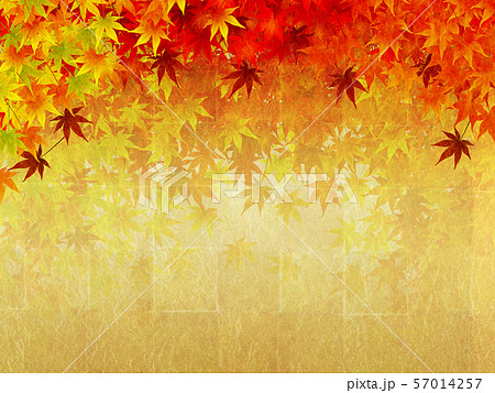 紅葉のイラスト素材