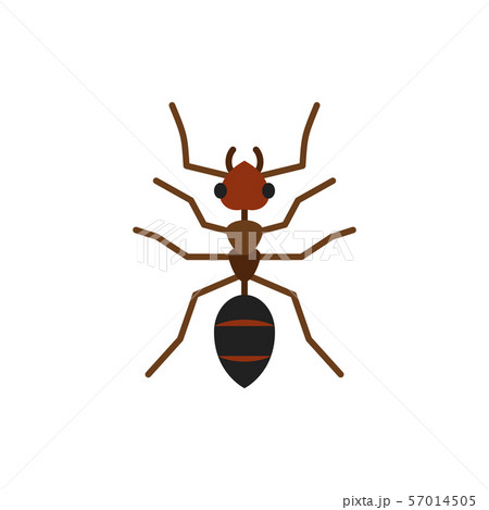 Ant insect animal single flat color vector icon 57014505