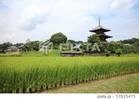 法起寺 法起寺 57015475