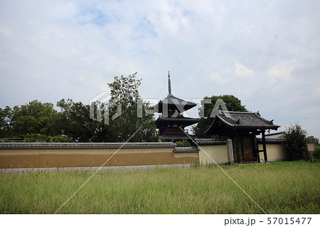 法起寺 法起寺 57015477