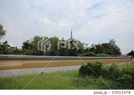 法起寺 法起寺 57015478