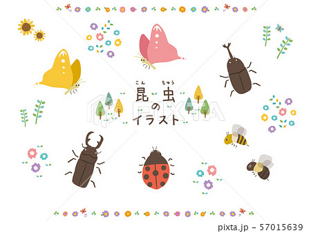 昆虫のイラスト 57015639