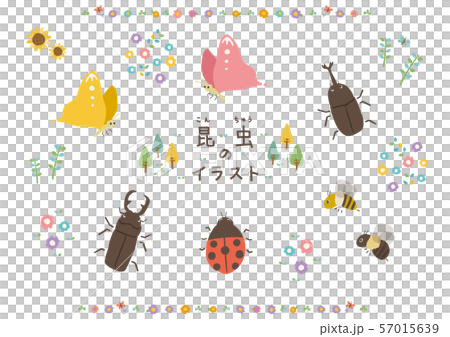 昆虫のイラスト 57015639
