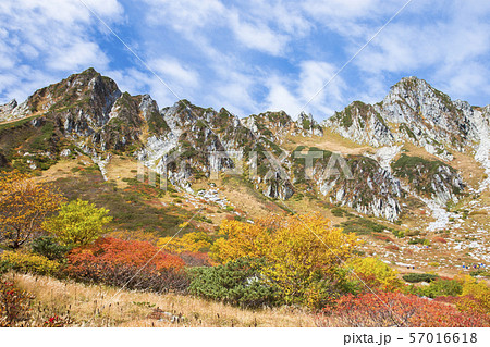 長野県駒ヶ根市 千畳敷カールの紅葉 標高2612mの絶景紅葉スポット の写真素材